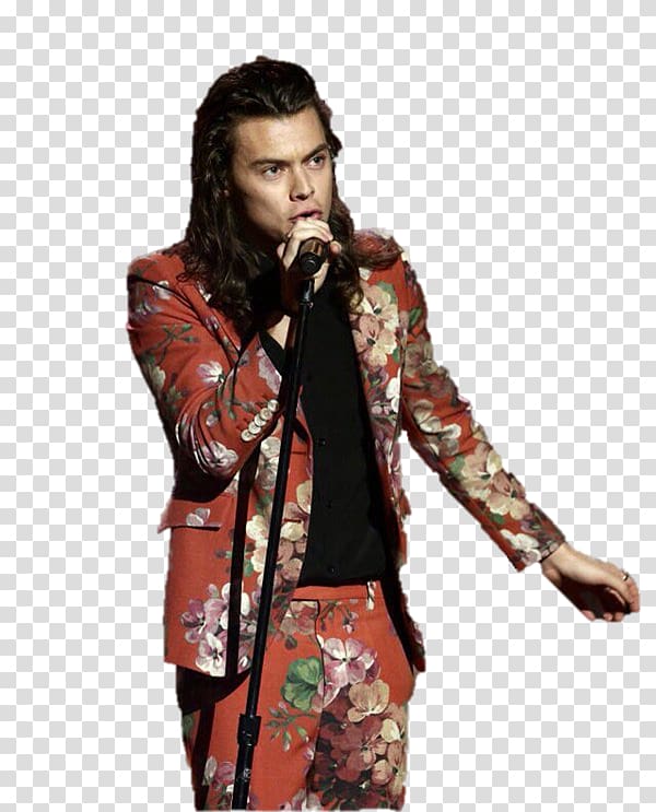 Harry Styles The X Factor Model Fashion, others transparent background PNG clipart