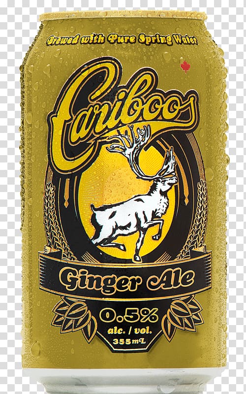 Ginger ale Root beer Pale ale, Ginger Ale transparent background PNG clipart