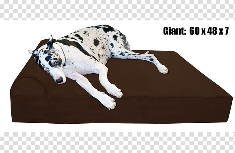 Great Dane Bed Pet Big Barker Dog breed, Orthopedic Pillow transparent background PNG clipart