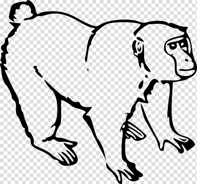 Ape Monkey Chimpanzee , monkey transparent background PNG clipart