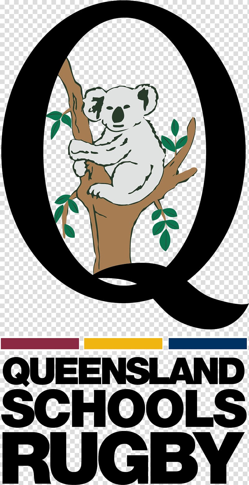 Queensland Reds Brothers Old Boys Super Rugby Souths Rugby Brisbane Global Rugby Tens, Rugby transparent background PNG clipart
