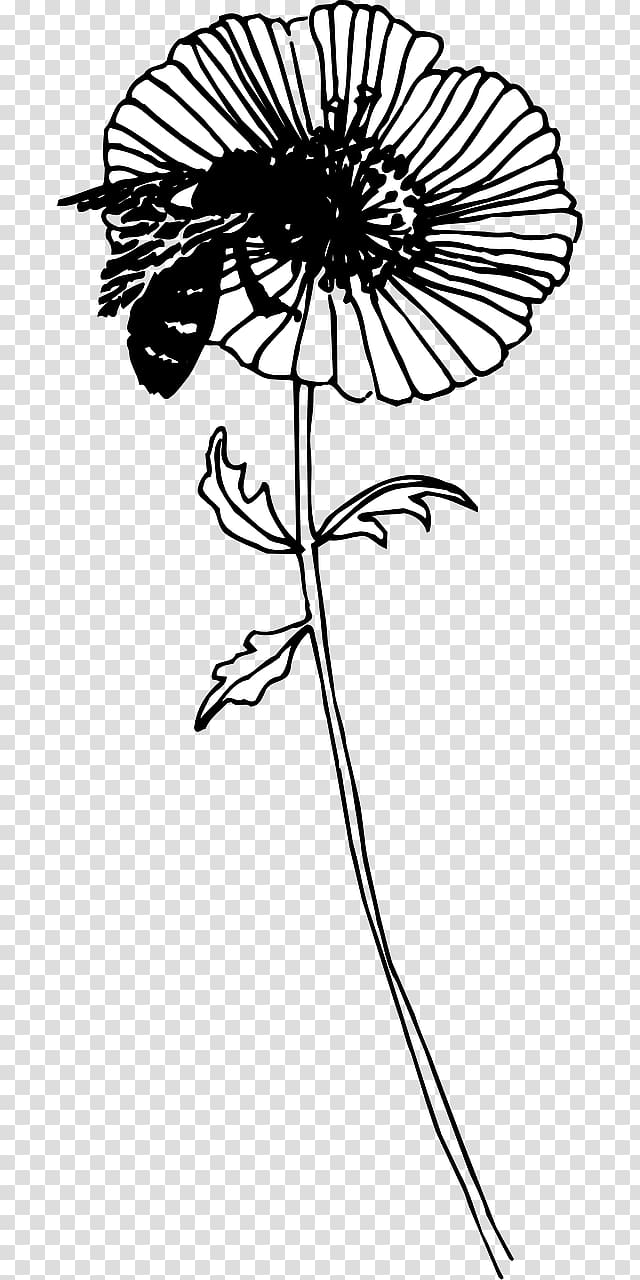 Bee Drawing Insect Floral design Flower, bee transparent background PNG clipart