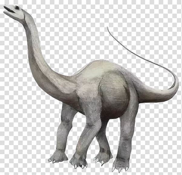 Apatosaurus Brontosaurus We\'re Back! A Dinosaur\'s Story Albertosaurus, others transparent background PNG clipart