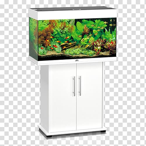 Aquariums JUWEL Rio 240 LED Aquarium Filters Water Filter, Marine Invertebrates transparent background PNG clipart