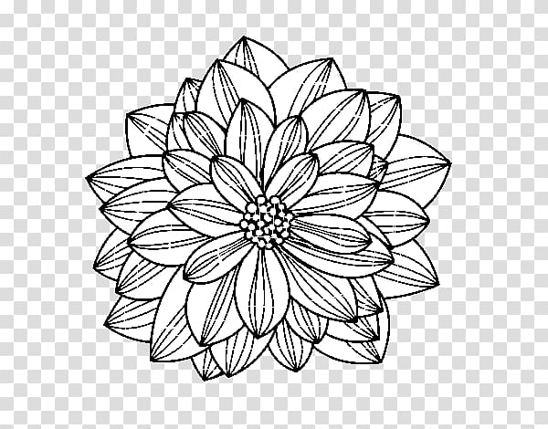 Floral design Drawing Flower, book flower transparent background PNG clipart