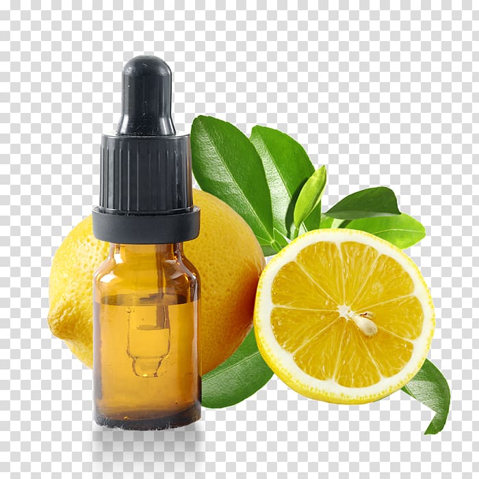 Essential oil Huile essentielle de citron Lemon Ravensara aromatica, lemon transparent background PNG clipart