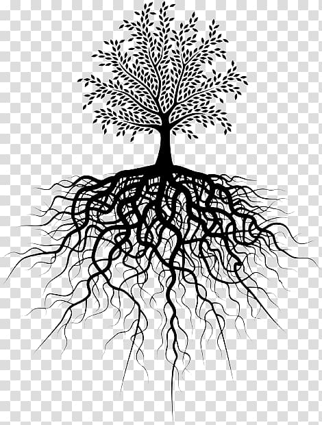 Root Tree , tree root transparent background PNG clipart