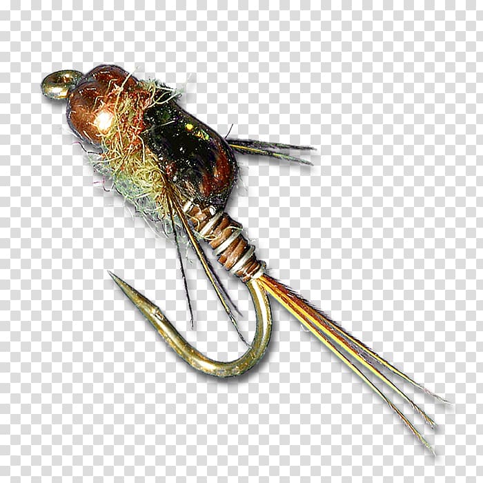 Mayfly Nymph Insect Caddisfly Fly fishing, flying nymph transparent background PNG clipart