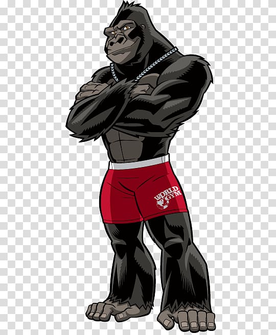 monkey illustration, World Gym Maroochydore Gorilla Fitness Centre World Gym Penrith, stage transparent background PNG clipart