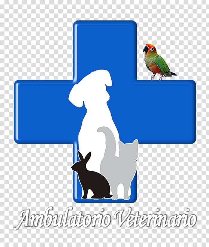 Veterinarian Cat Veterinary medicine Dog Pet, Cat transparent background PNG clipart