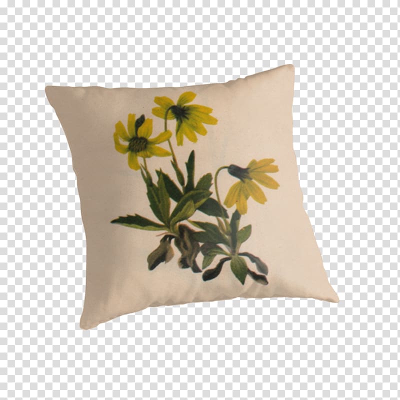 Lake Louise Arnica (Arnica louisiana) Flower Cushion Throw Pillows United States, watercolor red flower transparent background PNG clipart