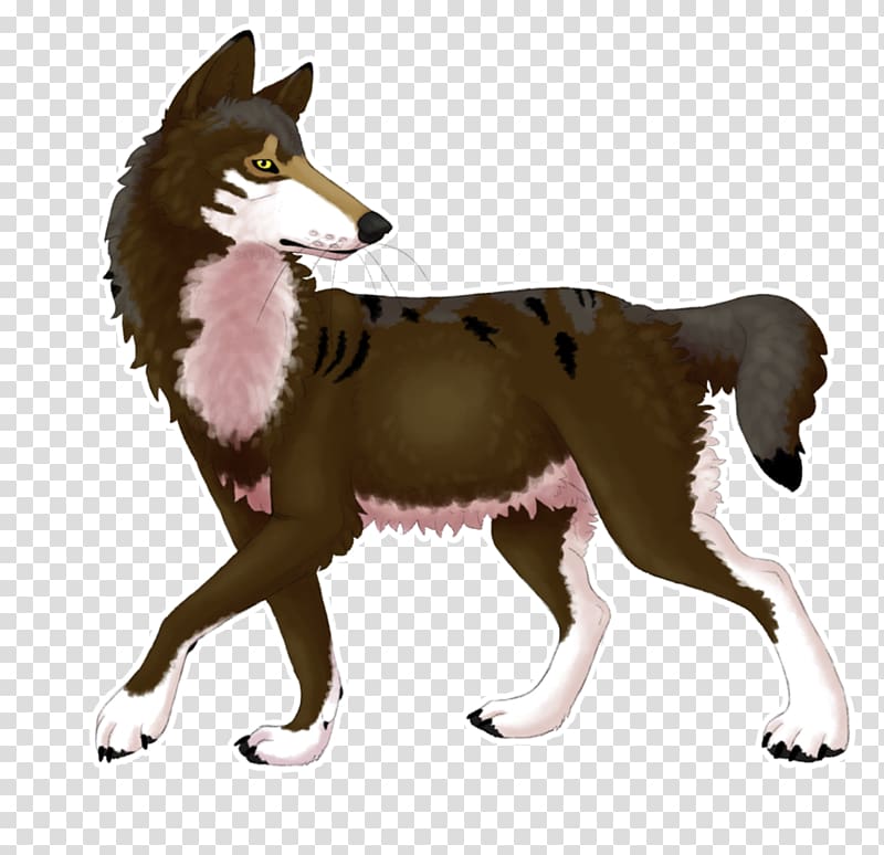Shikoku Dog breed Red wolf Fauna Wildlife, Smokie transparent background PNG clipart