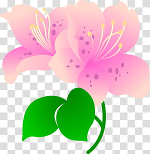 Encapsulated PostScript , flower transparent background PNG clipart thumbnail