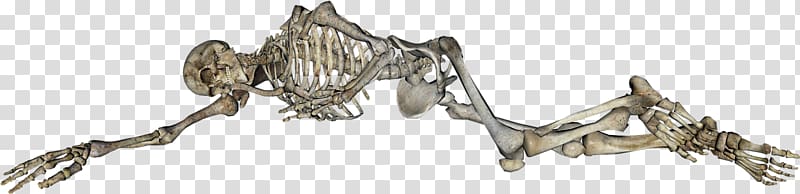 halloween skeleton lying transparent background PNG clipart
