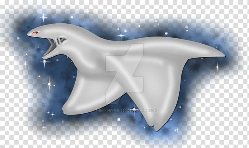 Common bottlenose dolphin Tucuxi Marine biology Desktop , angry fish transparent background PNG clipart