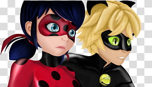 Adrien Agreste Ladybug & Cat Noir: Origins, Part 1 Desktop, Cat