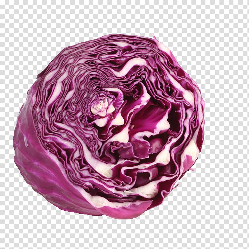 Red cabbage Vegetable, Half of purple cabbage transparent background PNG clipart
