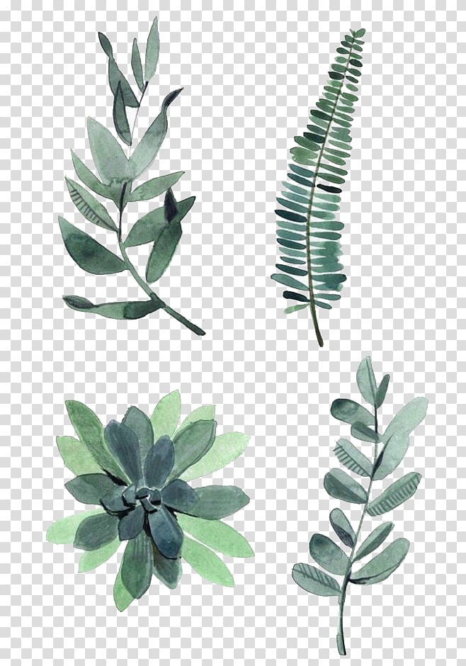 Watercolor painting Drawing Plant Illustration, Watercolor leaves, four assorted green leaves transparent background PNG clipart