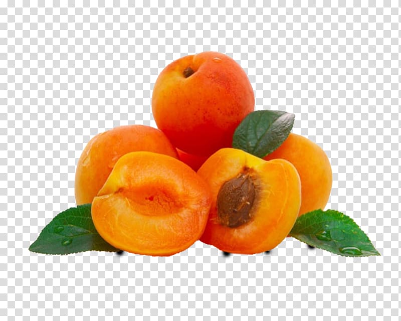 Apricot oil Apricot kernel Carrier oil, apricot transparent background PNG clipart