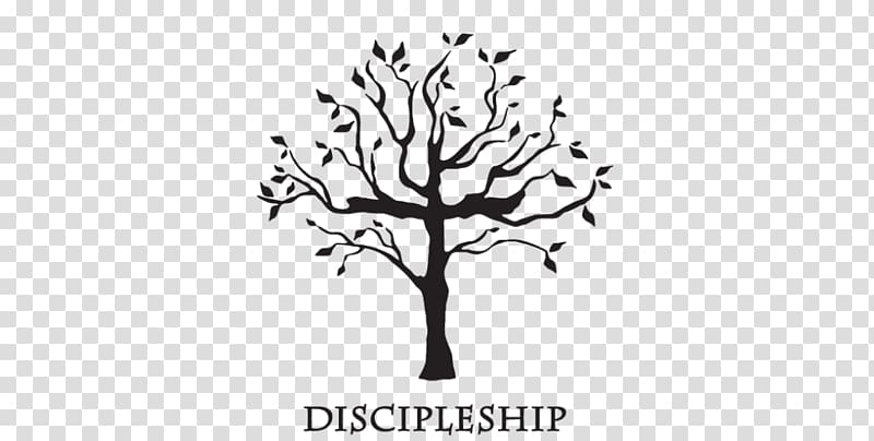 Bible Disciple Christianity Gospel Tree of life, Discipleship transparent background PNG clipart