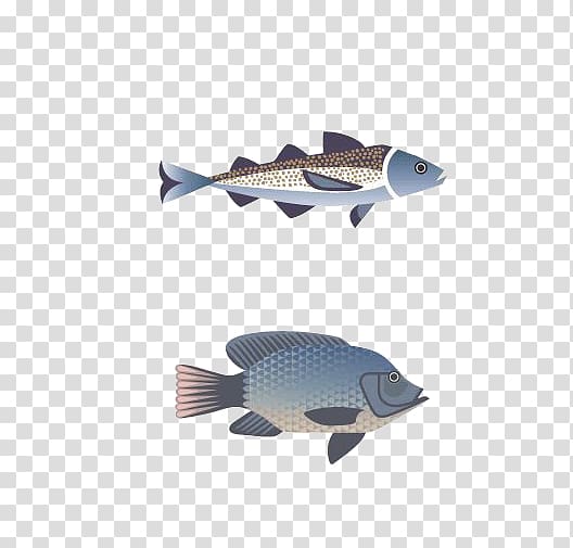 Fish ISO 216 , fish transparent background PNG clipart