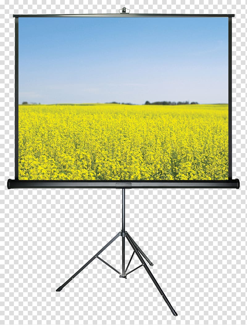 Projection Screens Multimedia Projectors Projector Wala Computer Monitors, Projector transparent background PNG clipart