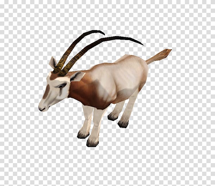 Gemsbok Zoo Tycoon 2 Scimitar oryx Video Games, safari zoo tycoon 2 transparent background PNG clipart