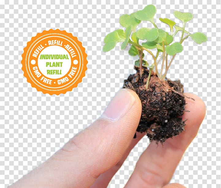 The Non-GMO Project Genetically modified organism Soil Germination Seed, NoN Gmo transparent background PNG clipart