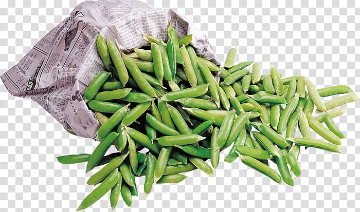 Green bean Common Bean Lima bean Crop yield, others transparent background PNG clipart