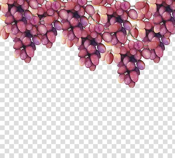 Grape Watercolor painting Drawing, Watercolor grapes transparent background PNG clipart