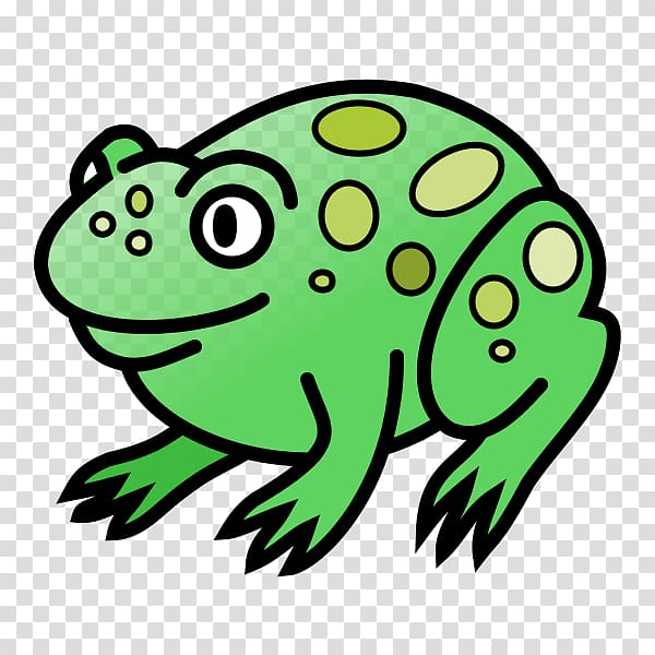 True frog Edible frog Tree frog , frog transparent background PNG clipart