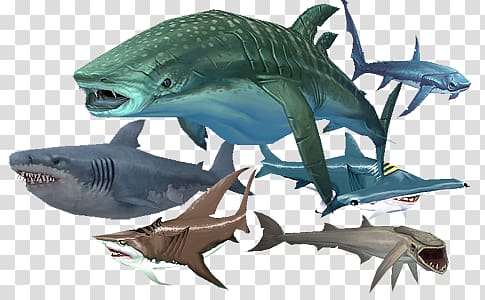 hungry shark world transparent background png cliparts free