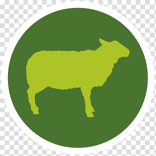 Sheep Cattle Domestic pig Meat packing industry Hay, laborious transparent background PNG clipart