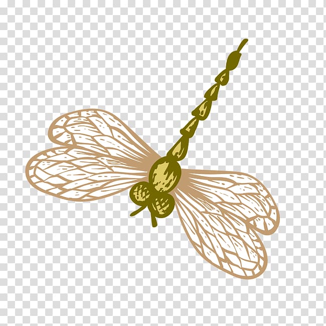 Watercolor painting Dragonfly, Hand-painted Dragonfly transparent background PNG clipart