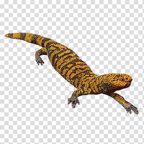 Gila monster Lizard Reptile, Crocodile markings transparent background PNG clipart