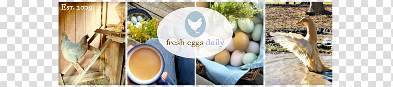 Fresh Eggs Daily: Raising Happy, Healthy Chickens ... Naturally Poultry Live, fresh eggs transparent background PNG clipart
