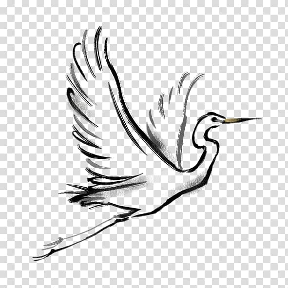 bird illustration, Bird Crane, white crane transparent background PNG clipart