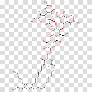 Line Point Angle Diagram, line transparent background PNG clipart thumbnail