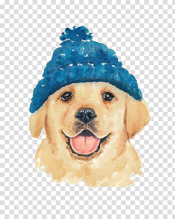 of dog with blue knit cap, Dog Drawing Watercolor painting Cat, Cartoon Golden Retriever Dog transparent background PNG clipart