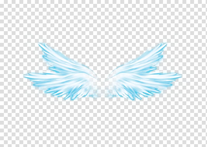Wing Butterfly Overlay Feather, wings transparent background PNG clipart