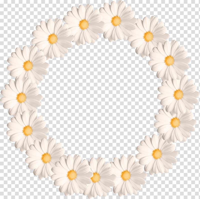 Common daisy Border Flowers , flower transparent background PNG clipart