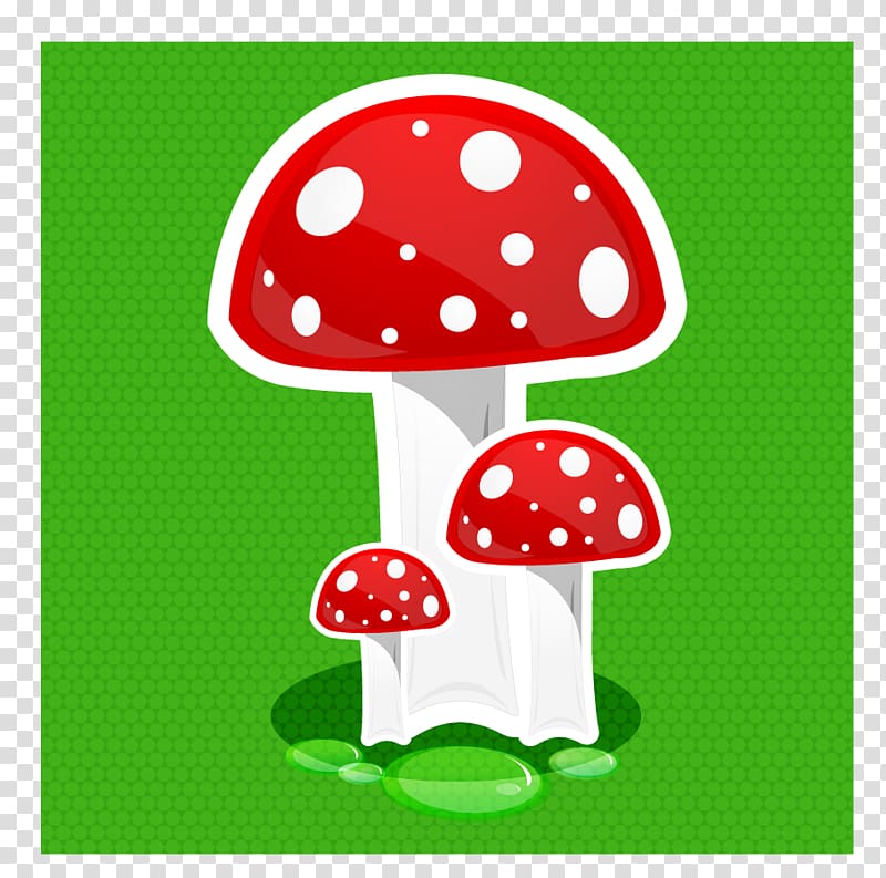 Edible mushroom , mushrooms transparent background PNG clipart