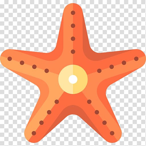 Starfish Line Echinoderm Angle, starfish transparent background PNG clipart