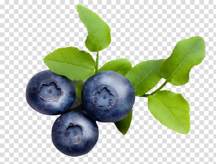 Blueberry Bilberry Lingonberry Varenye Huckleberry, blueberry transparent background PNG clipart