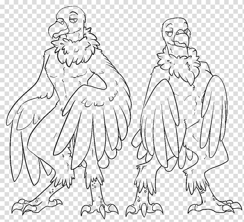 Homo sapiens Line art Turkey vulture, Bird transparent background PNG clipart