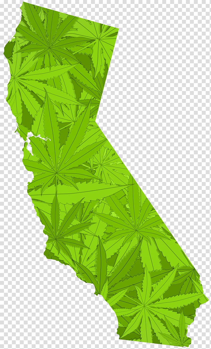 California Proposition 215 Medical cannabis Legality of cannabis Legalization, marijuana leaf border transparent background PNG clipart