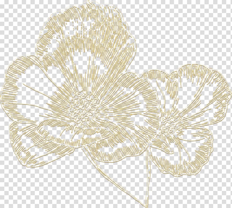 Petal Floral design Cut flowers, flower transparent background PNG clipart