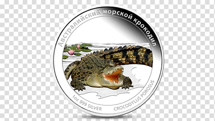 Reptile Animal Variation and Classification Saltwater crocodile, Saltwater Crocodile transparent background PNG clipart