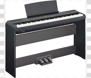 Yamaha P-115 Yamaha Corporation Digital piano Stage piano, piano transparent background PNG clipart thumbnail