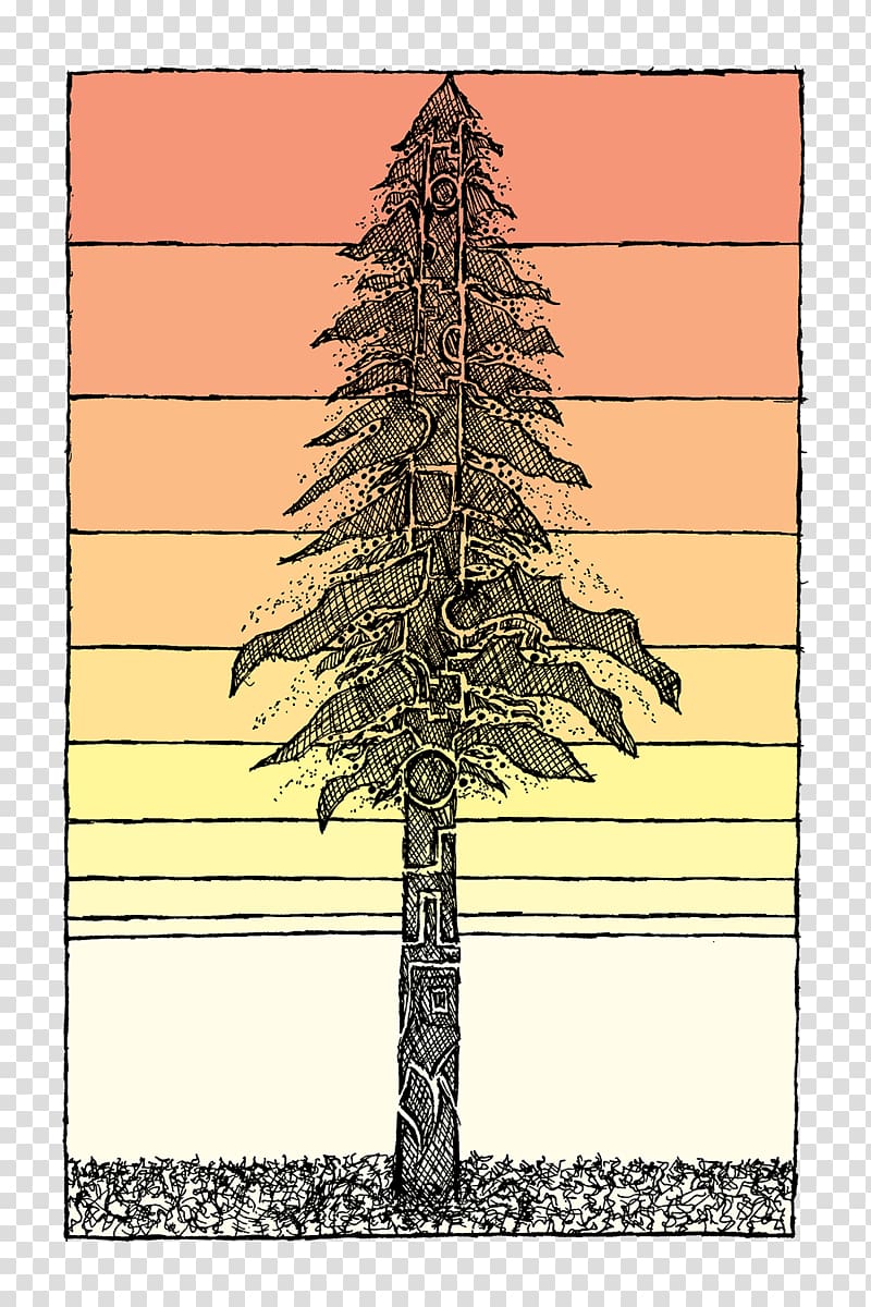 Tree Coast redwood Drawing Plant Sketch, tree transparent background PNG clipart